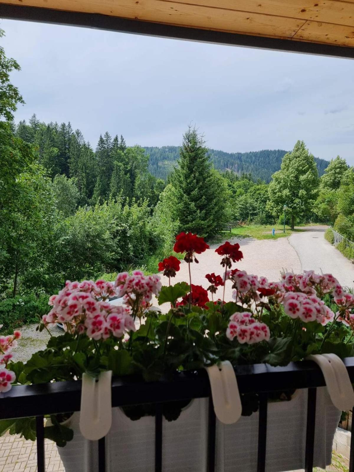 Haus Bierherr Mariazell Eksteriør bilde