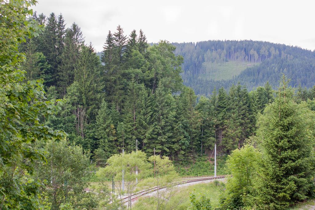 Haus Bierherr Mariazell Eksteriør bilde